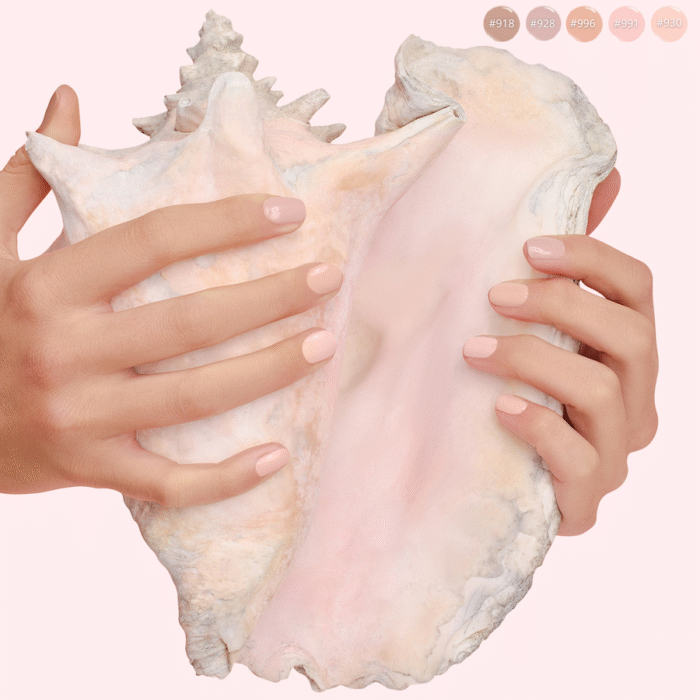 Undaria - Image 3